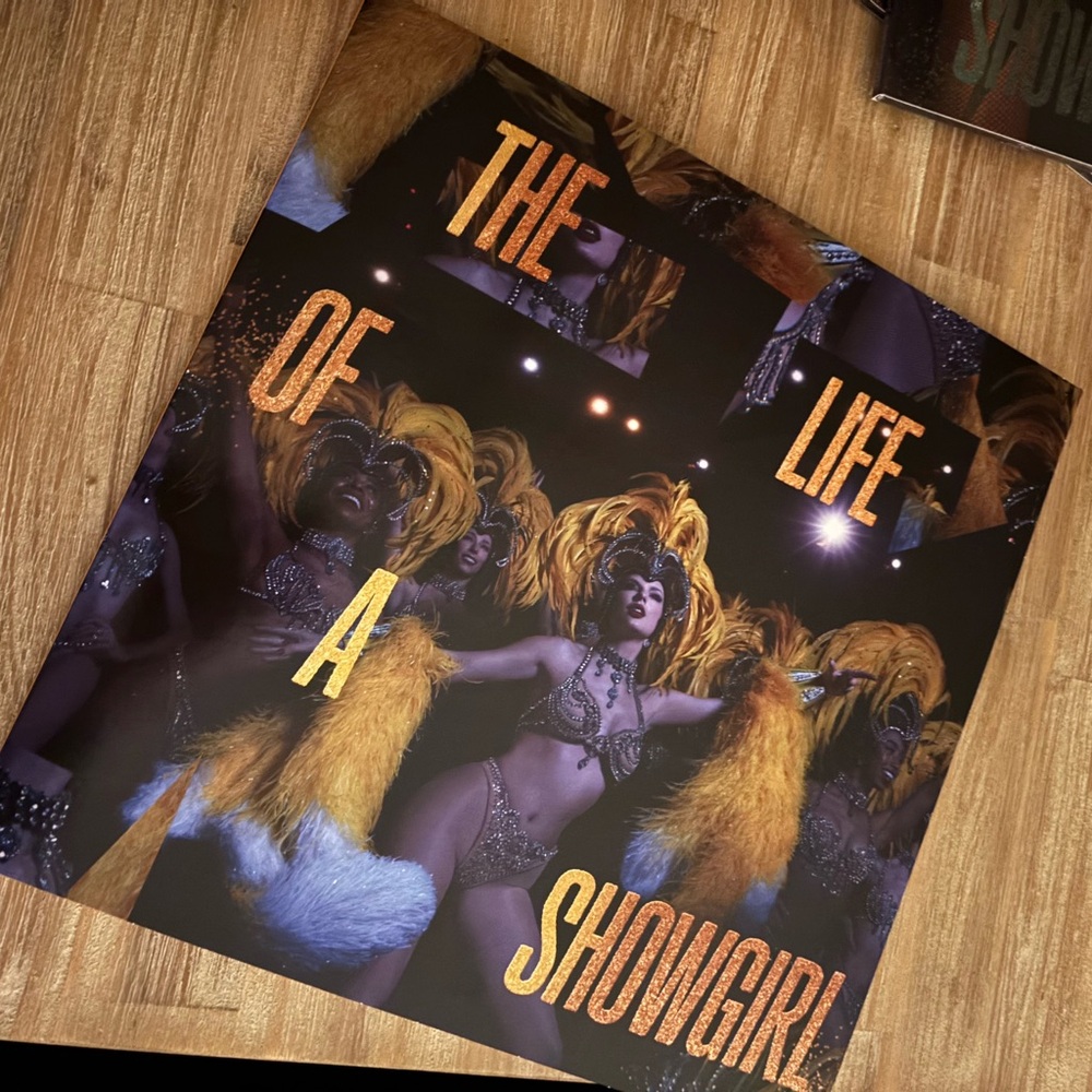 Taylor Swift The Life of a Showgirl vinyl